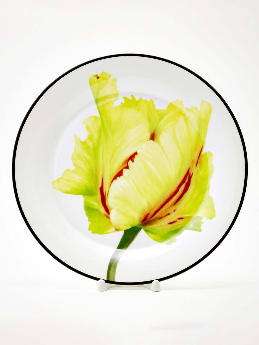 Тарелка плоская «Волшебный сад II» Костяной фарфор. 260 мм.