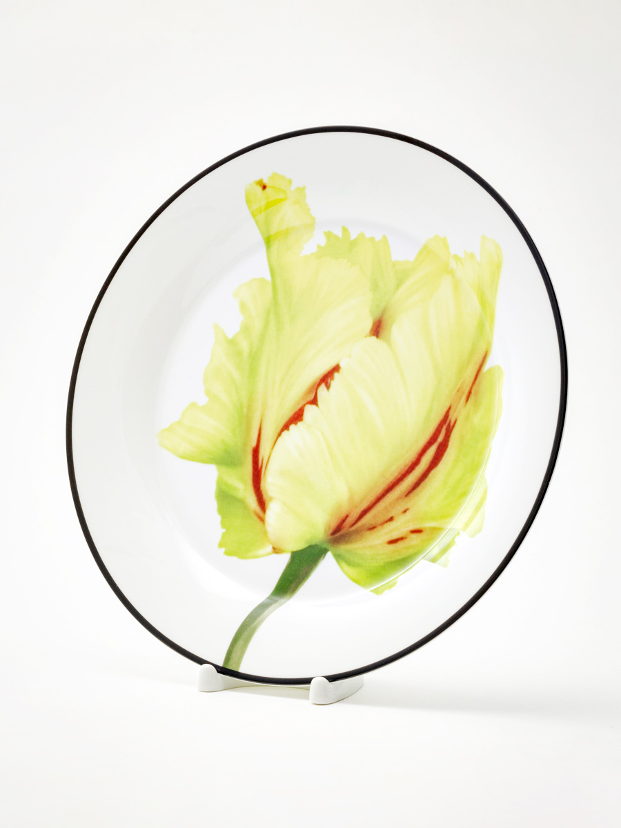 Тарелка плоская «Волшебный сад II» Костяной фарфор. 260 мм.