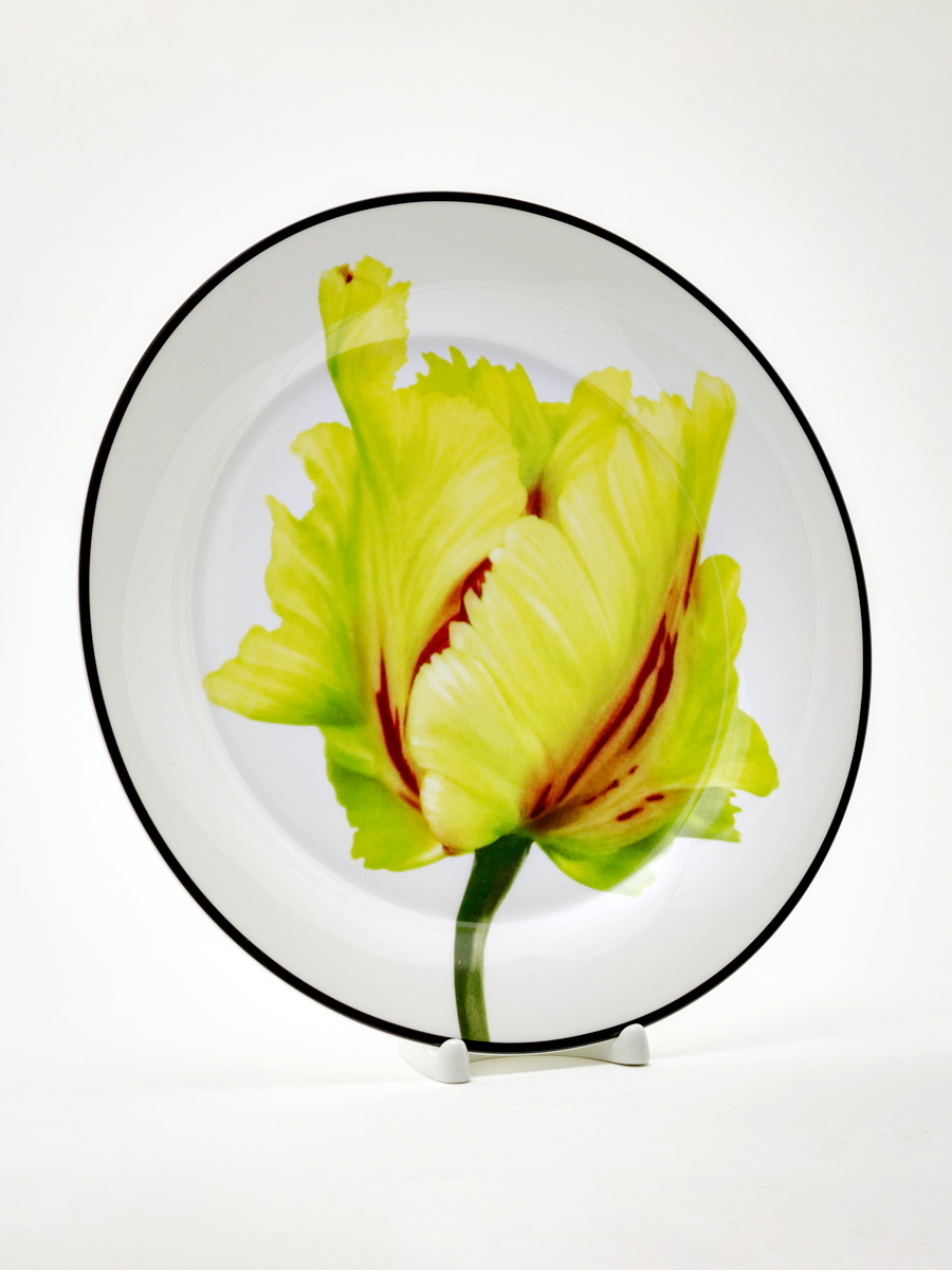 Тарелка плоская «Волшебный сад II» Костяной фарфор. 260 мм.