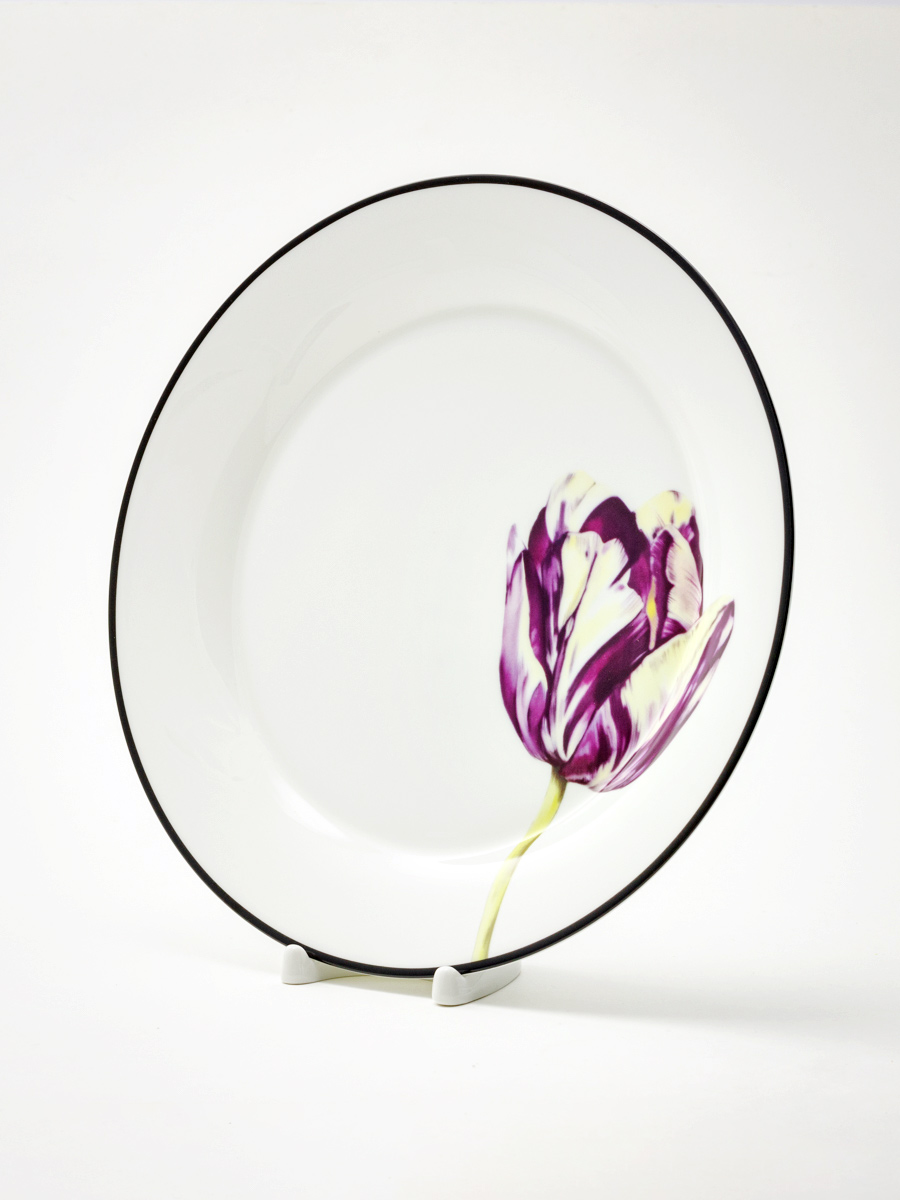 Тарелка плоская «Волшебный сад IX» Костяной фарфор. 260 мм.