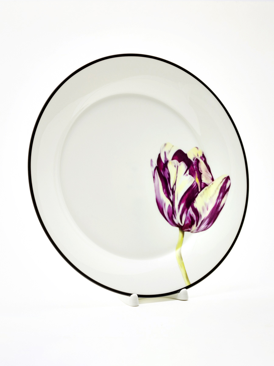 Тарелка плоская «Волшебный сад IX» Костяной фарфор. 260 мм.