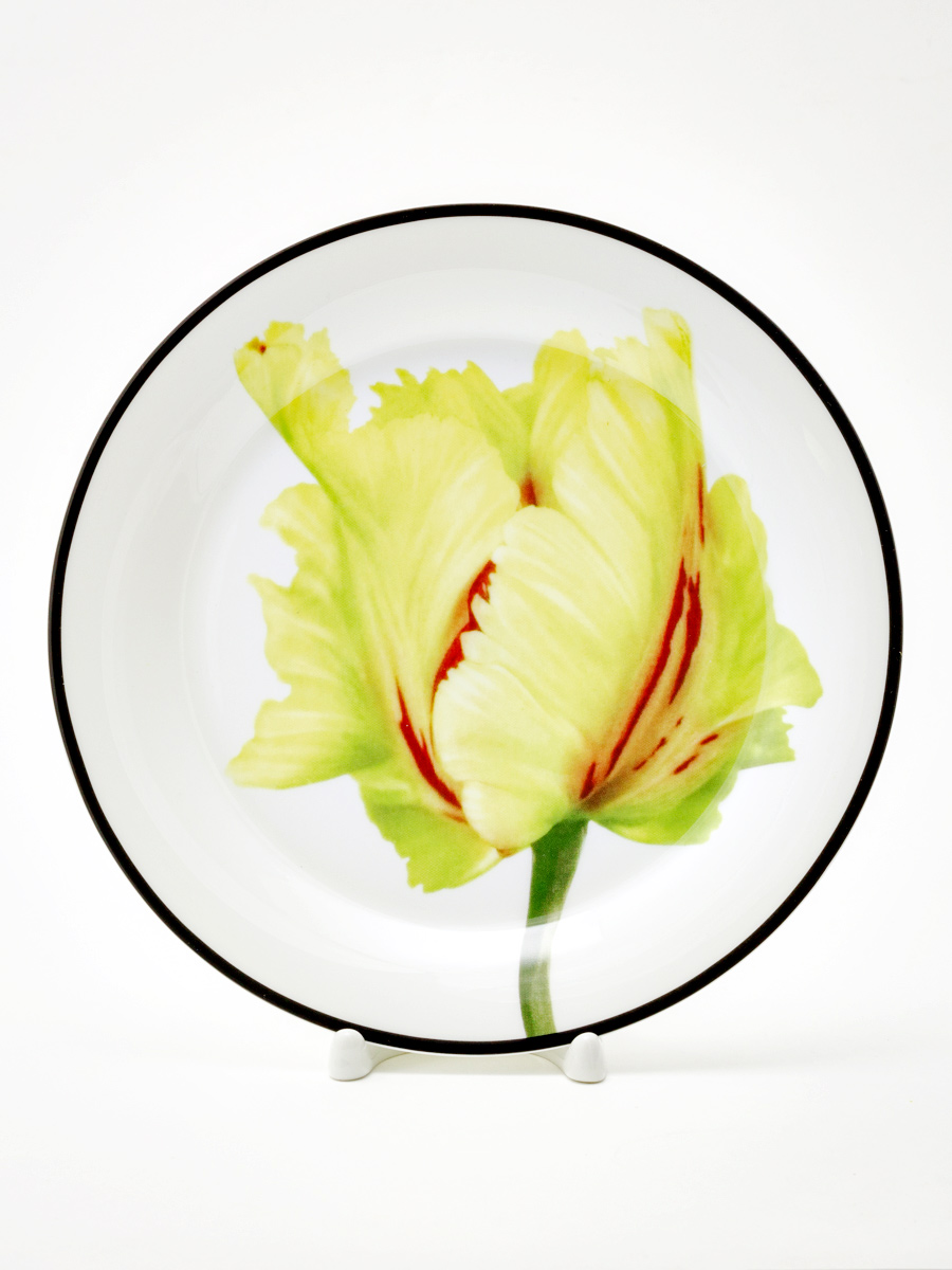 Тарелка плоская «Волшебный сад II» Костяной фарфор. 200 мм.