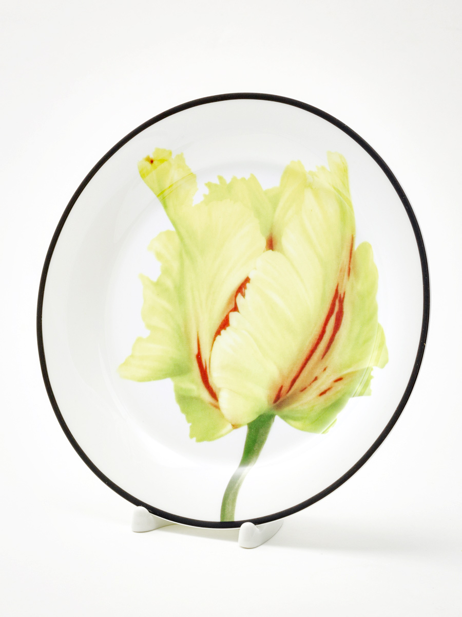 Тарелка плоская «Волшебный сад II» Костяной фарфор. 200 мм.