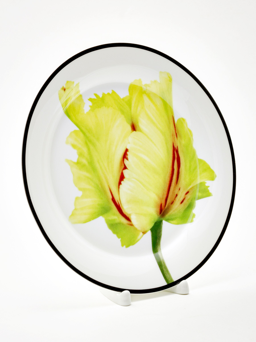 Тарелка плоская «Волшебный сад II» Костяной фарфор. 200 мм.