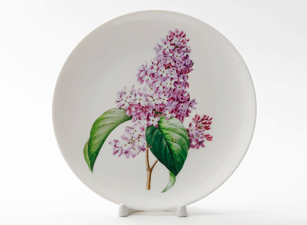 Decorative plate Redoute Pierre-Joseph Lilac