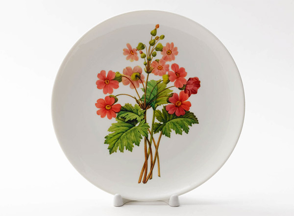 Decorative plate Redoute Pierre-Joseph Chinese primrose