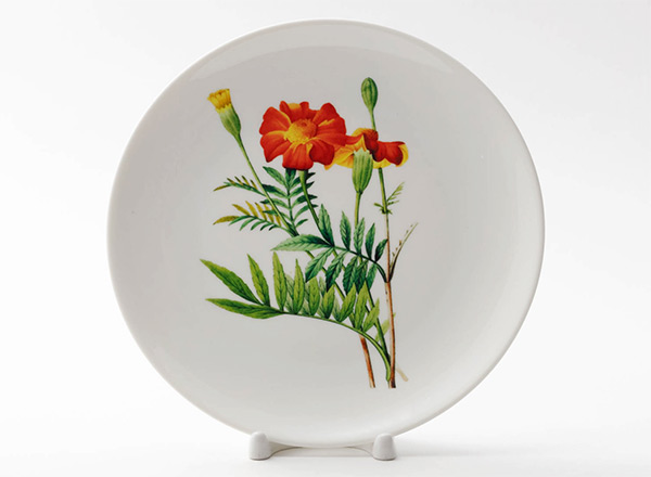 Decorative plate Redoute Pierre-Joseph Marigold