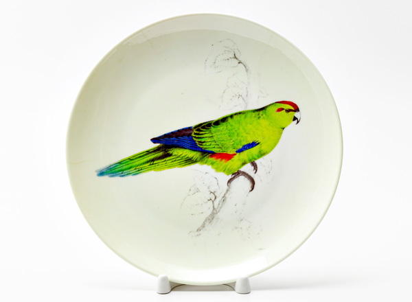 Decorative plate Lear Edward Green parrot
