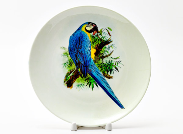 Decorative plate Lear Edward Macaw blue