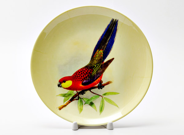 Decorative plate Lear Edward Red Rosella