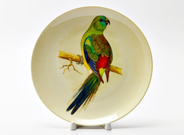 Decorative plate Lear Edward Singing Parrot