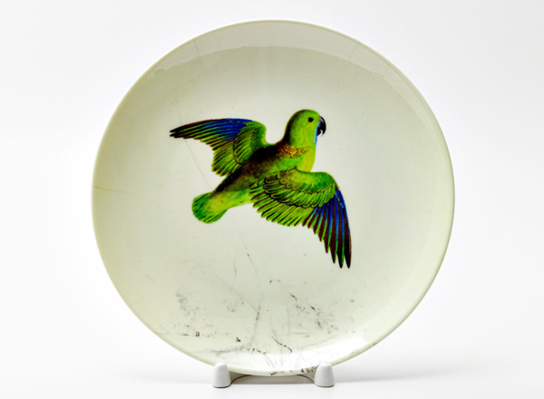 Decorative plate Lear Edward Collared parrot