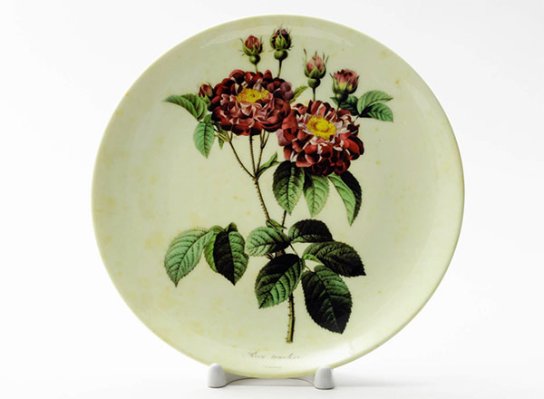 Decorative plate Redoute Pierre-Joseph Tricolor rose on a yellow background