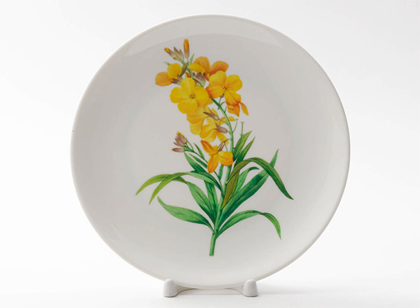 Decorative plate Redoute Pierre-Joseph Wallflower