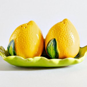 Набор для специй 2 предметный Лимоны Repast