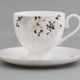 Чашка с блюдцем чайная Магнолия 1/2 Royal Aurel