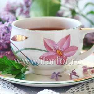 Чашка с блюдцем чайный Лауренсия 1/2 Кострома