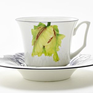 Чашка с блюдцем чайная в подарочной коробке Волшебный сад II 1/2 Юлия