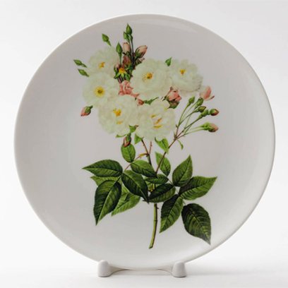 Декоративная тарелка Роза нуазетовая