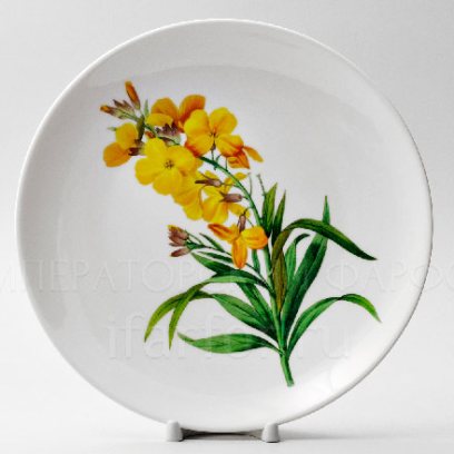 Декоративная тарелка «Желтофиоль»