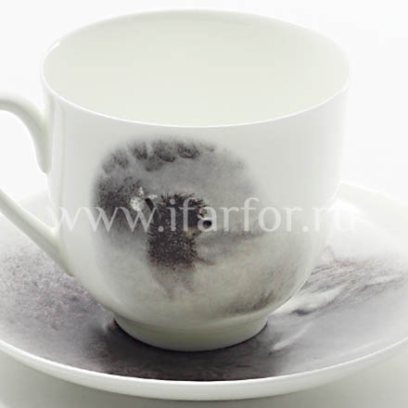 Чашка с блюдцем в подарочной коробке «Лошадь. Ежик в тумане» 1/2