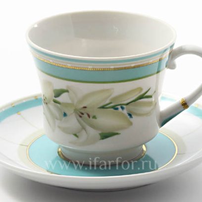 Чашка с блюдцем чайный «Северная Аврора» 1/2