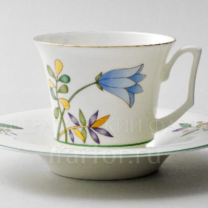 Чашка с блюдцем чайная «Июньская палитра» 1/2