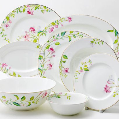 Сервиз столовый «Сад мечты» 6/24