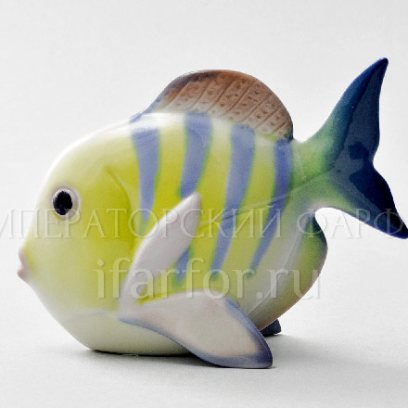 Скульптура Рыба-бабочка м.р. Лучистая