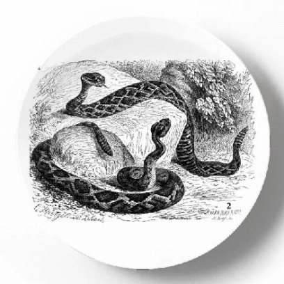 Ромбический гремунчик