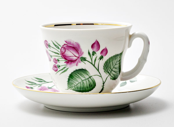 Cup and saucer tea Rosehip branch Madam