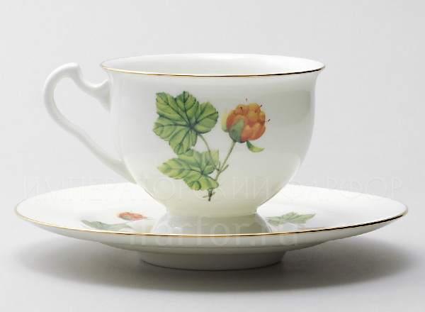 Cup and saucer tea Flowers and berries. Cloudberry Isadora