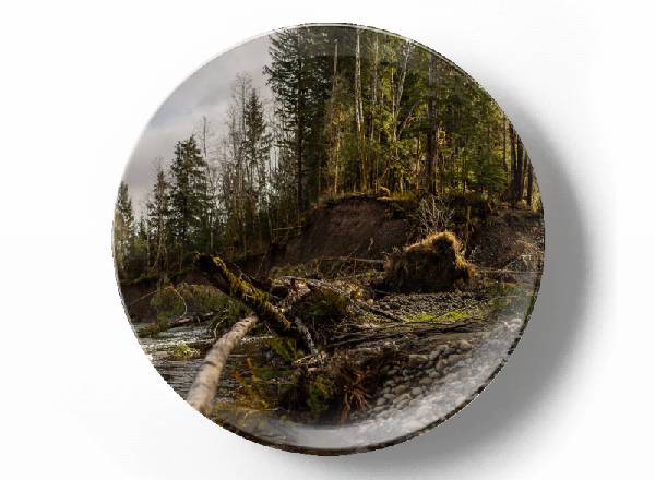 Рыбалка у берега