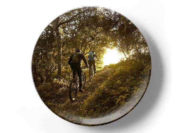 На велосипеде по лесной тропе