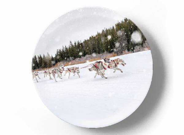 Собачья упряжка