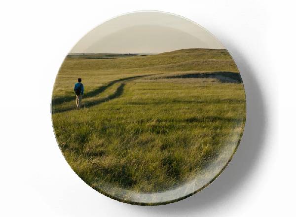 Прогулка по полю