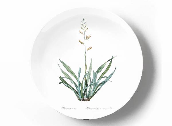 Decorative plate Pierre-Joseph Redouté Phormium tenax