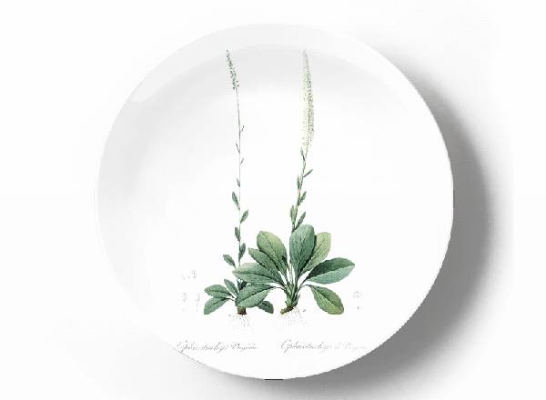 Decorative plate Pierre-Joseph Redouté Chamaelirium