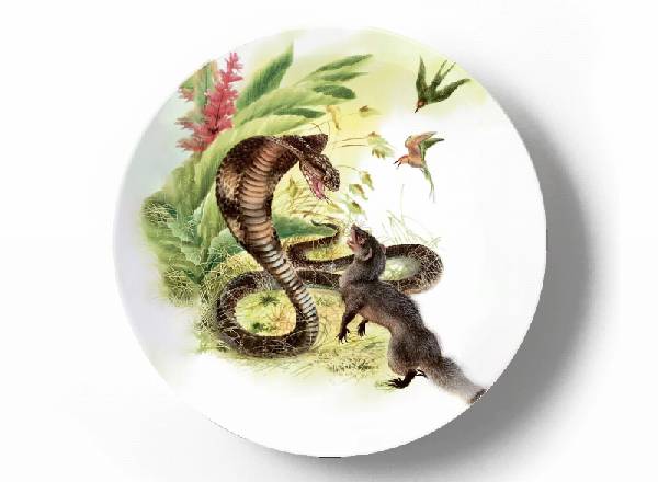 Рикки-Тикки-Тави