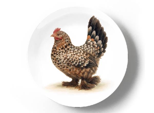 Бентамка курица