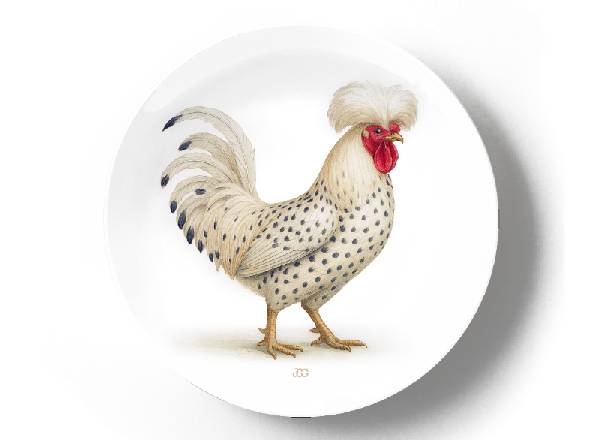 Павловский белый петух