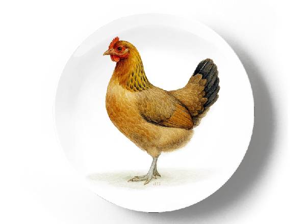 Курочка Феникс