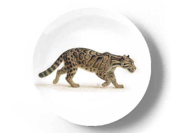 Дымчатый леопард