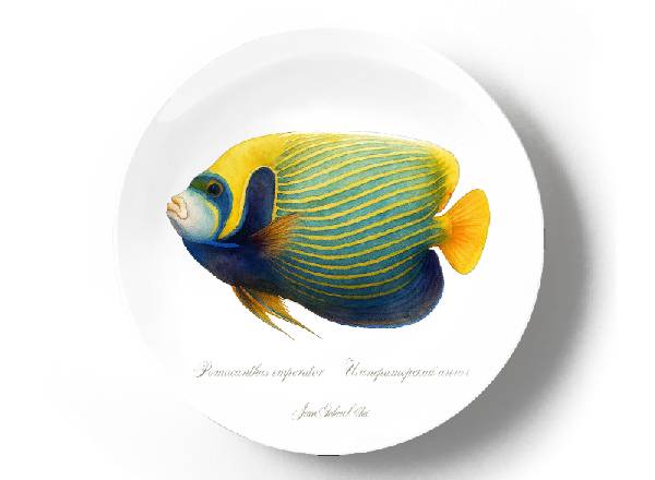 Императорский Ангел