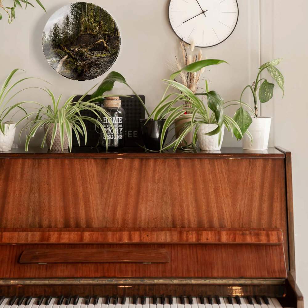 Рыбалка у берега — Камерон Карстен