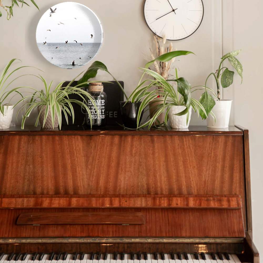 Птицы — Пит Барретт