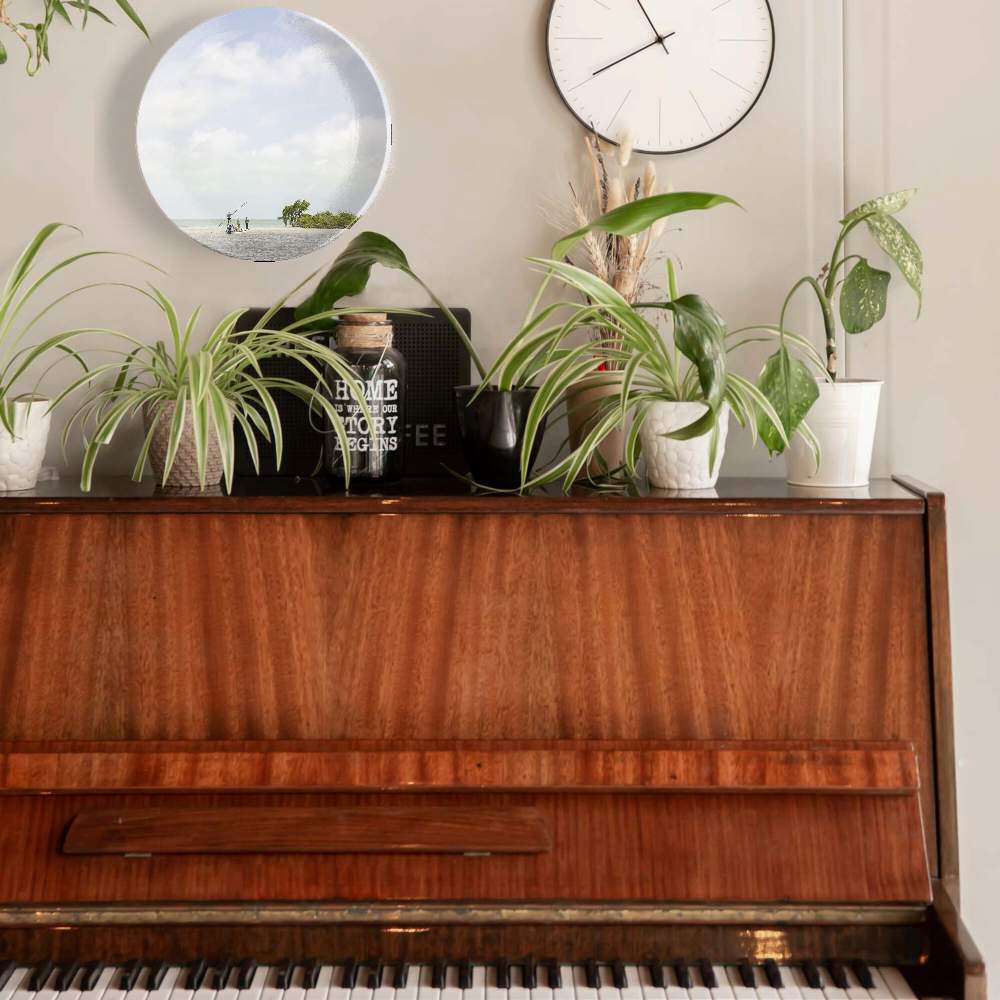 Остров — Камерон Карстен