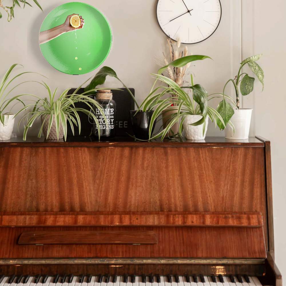 Апельсин и сок — Изабелла Кассини