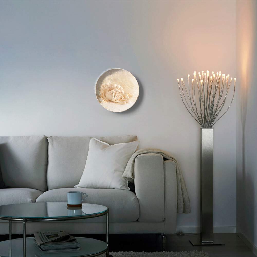 Грибное царство — Изабелла Кассини