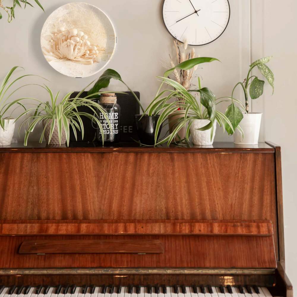 Грибное царство — Изабелла Кассини